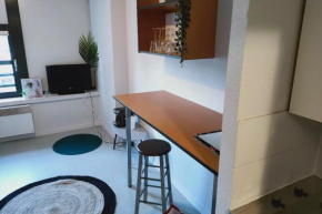 Studio confortable hyper centre de Tours